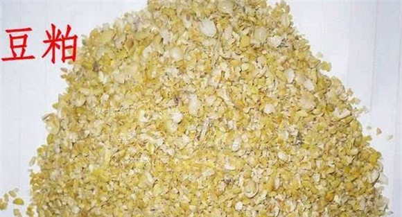 豆饼（粕）类饲料