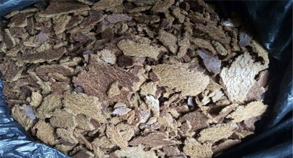 养鱼常用的蛋白质饲料有哪些