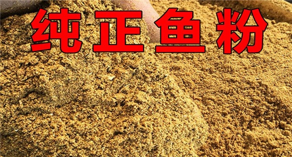鱼粉类饲料