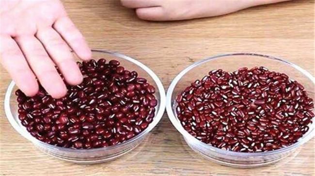 赤小豆的用法用量