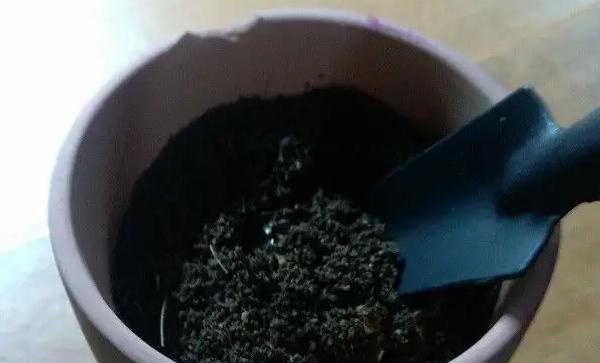 如何正确使用多菌灵