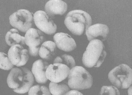 生活常识