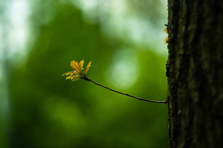 农药毒性分类及使用范围