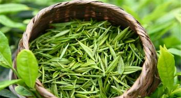 绿茶