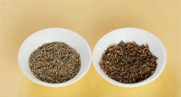 真假孜然
