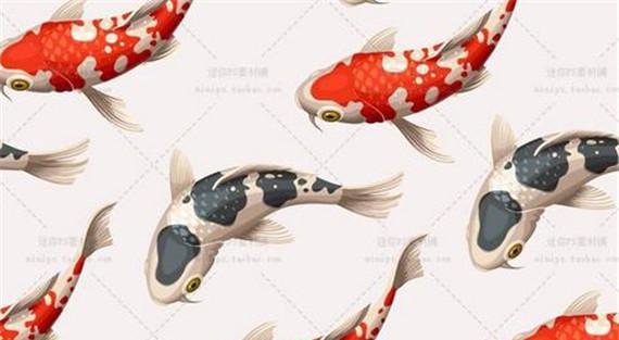 锦鲤花纹的特点