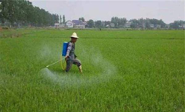 严格用量除草剂用量