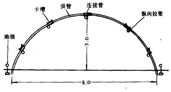 大棚蔬菜种植