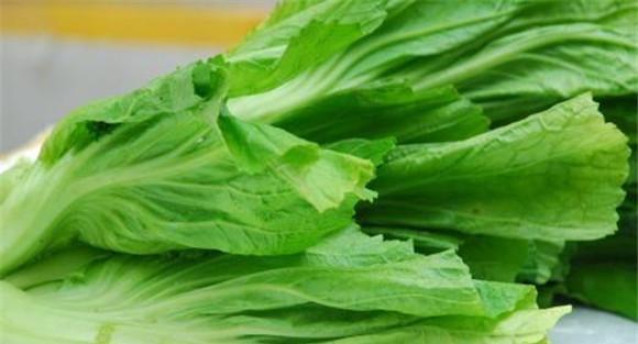 芥菜的医疗功效