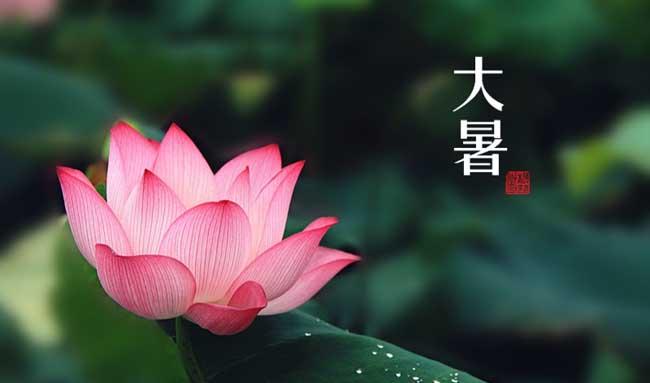 大暑是几月几日