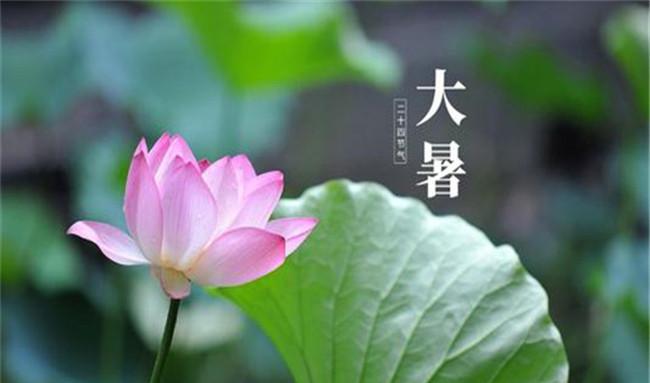 大暑的节日民俗