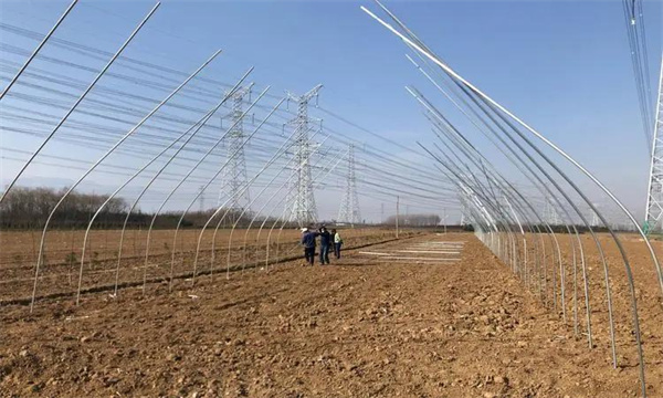新建大棚如何进行土壤改良