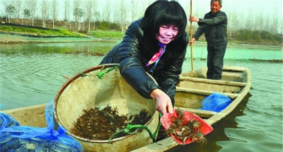 苗种放养要求