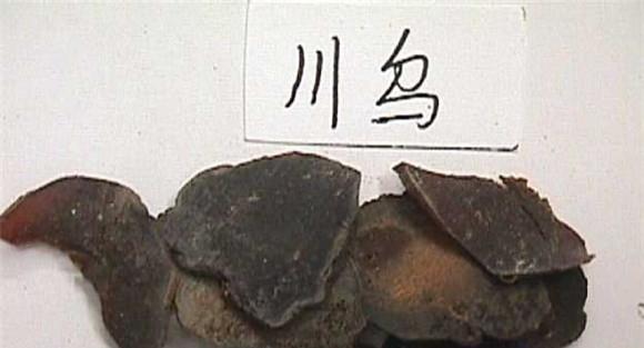 川乌的功效与作用