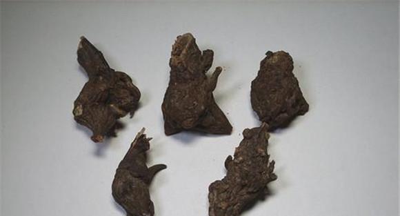 川乌的用法、用量与禁忌