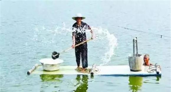鳜鱼养殖技术要点