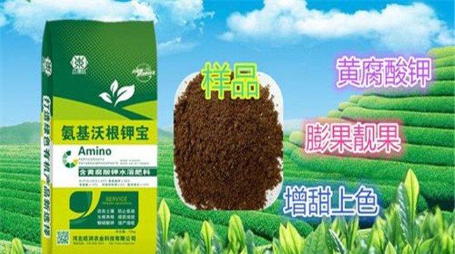 冲施肥能不能替代复合肥