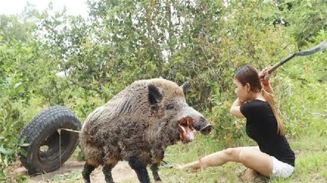 野猪咬人吗