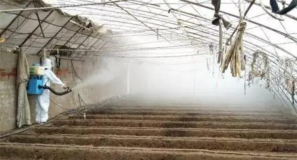 用土壤消毒剂棉隆消毒