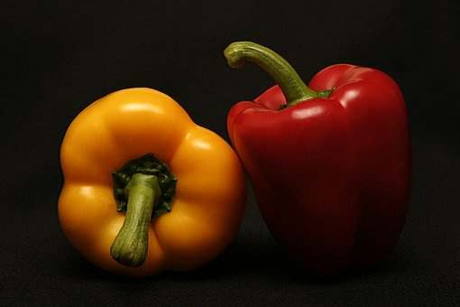 促进油菜早发壮苗主要技术防治