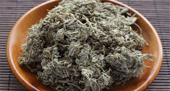茵陈的毒副作用