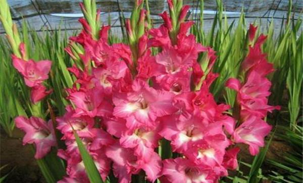 调节控制好温度