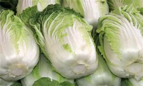 蔬菜储藏有哪些方法与技巧