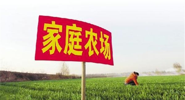 家庭农场要通过实现专业化生产提高生产效率