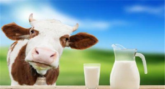 牛乳的营养价值