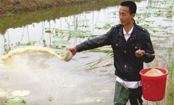 正确地投饵