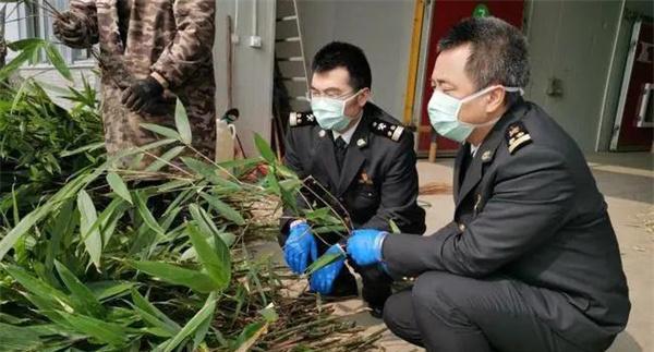 农作物病虫害综合防治技术包括哪些方面