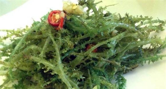 鹿角菜的功效是什么 鹿角菜的营养价值