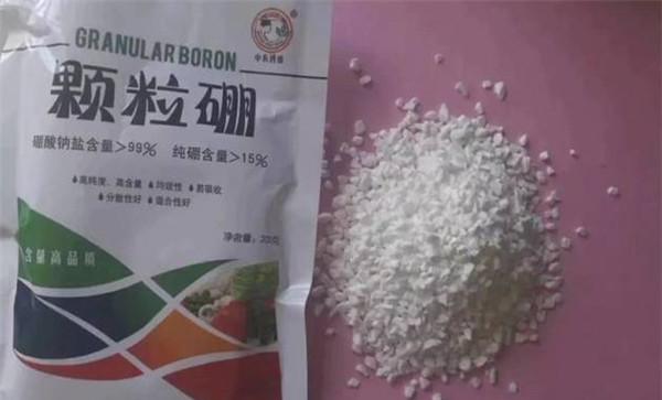 硼肥对作物的作用有哪些