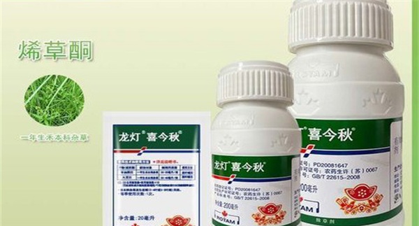 烯草酮土壤残留多久