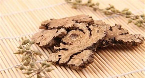 川芎的用药注意事项