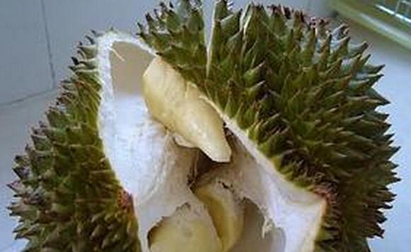 榴莲种植方法