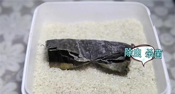 海带防霉法
