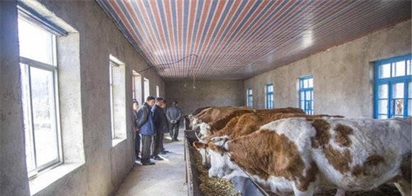 牛误食塑料薄膜的处理方法