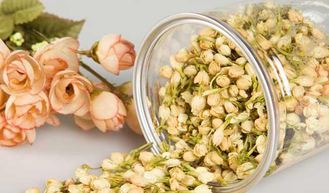 茉莉花种植方法