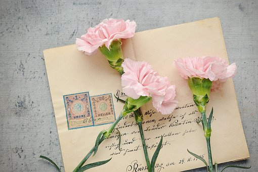 芹菜无土栽培技术