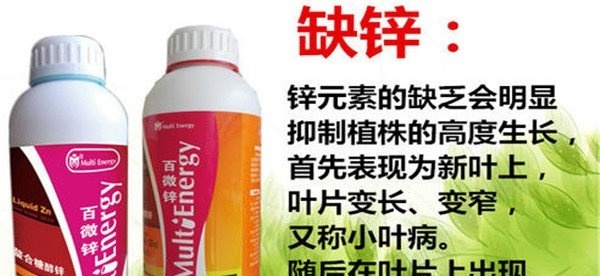 农作物缺锌的主要症状