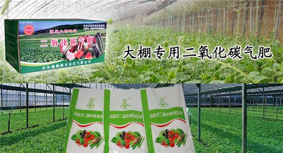 为什么要在大棚内施放二氧化碳气肥