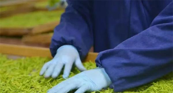 扁形名优绿茶手工制作的工艺流程和具体方法