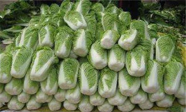 大白菜的保存方法