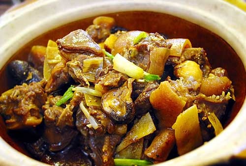 竹鼠的养殖前景 竹鼠饲养方法