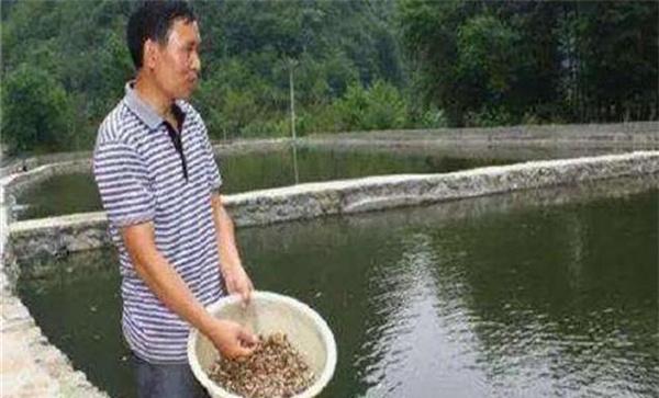 投饲管理