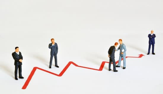 獭兔种母兔的饲养管理技术