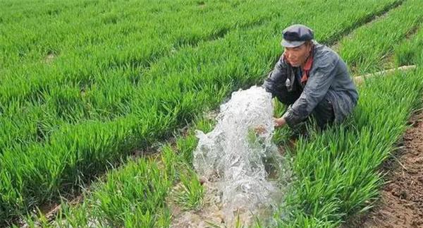 肥水管理