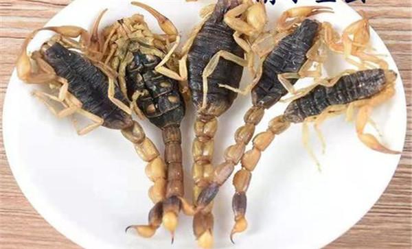 药用全蝎的加工方法