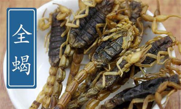 药用全蝎的贮存方法